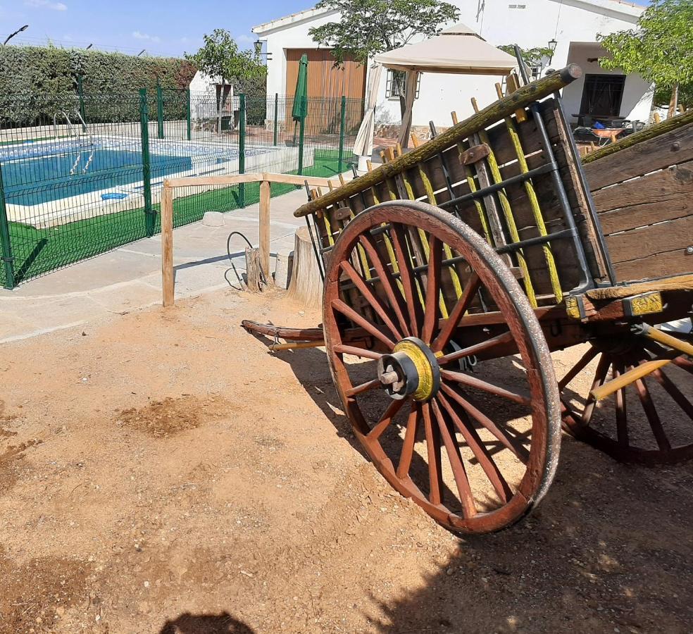 Casa Rural La Cerca Madridejos Εξωτερικό φωτογραφία